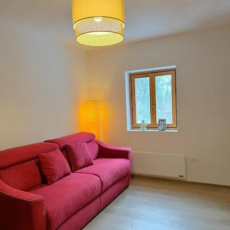 Modern Nest